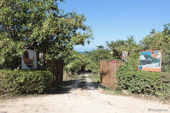 Cashew Grove Beach Resort Busuanga Exterior foto