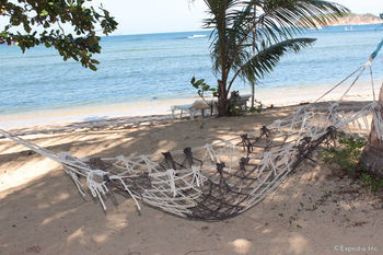 Cashew Grove Beach Resort Busuanga Exterior foto