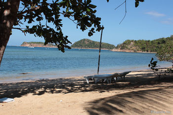 Cashew Grove Beach Resort Busuanga Exterior foto